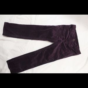 Girls Tea Collection Purple Velvet Pant, 5T